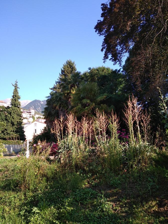 Appartement Sci Fleury à Vernet-les-Bains Extérieur photo